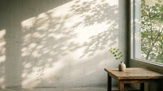 A serene minimalist room with warm dappled sunlight shadows on a concrete wall and a green plant on a wooden table, visualizing the Lumala meaning and the philosophy of breaking digital liquidity through Liu-Bai.